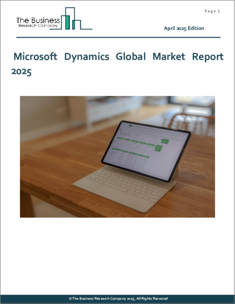 表紙：Microsoft Dynamicsの世界市場レポート 2025年