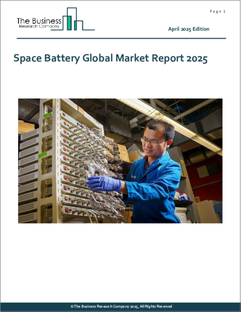 表紙：宇宙用バッテリーの世界市場レポート 2025年