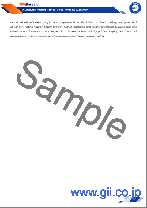 サンプル1：アルミニウム製錬市場：製品タイプ、製品形態、製錬プロセス、製錬能力、最終用途別-2025-2030年の世界予測