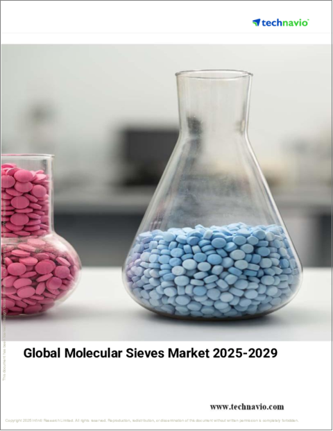 表紙：モレキュラーシーブの世界市場 2025-2029