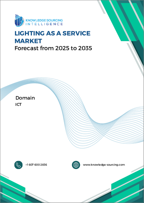 表紙：LaaS（Lighting as a Service）市場：将来予測 (2025年～2030年)