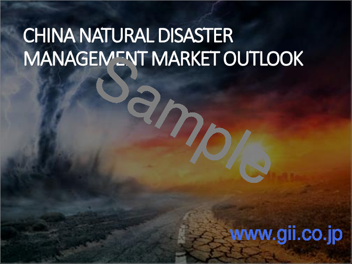 サンプル2：自然災害管理市場- 世界の産業規模、シェア、動向、機会、予測、ソリューションタイプ別、用途別、地域別、競合別、2020-2030年