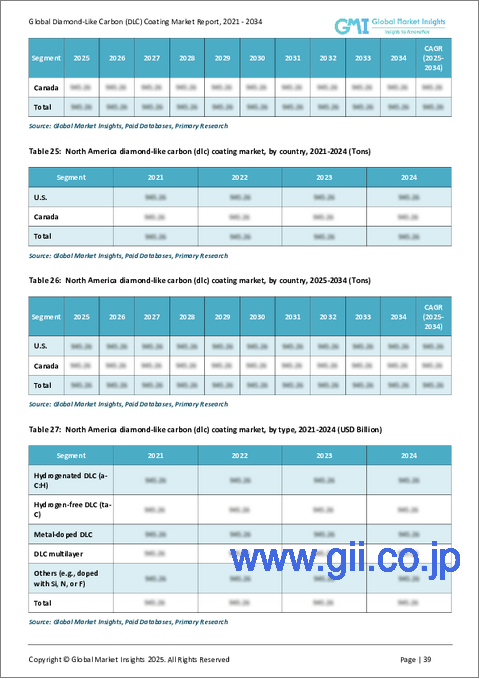 サンプル2：ダイヤモンドライクカーボンコーティング市場の市場機会、成長促進要因、産業動向分析、2025～2034年予測