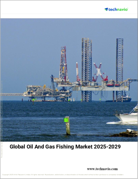表紙：石油・ガスの採揚作業の世界市場 2025～2029年