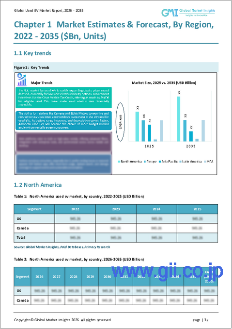サンプル2：中古EVの市場機会、成長促進要因、産業動向分析、2025年～2034年予測