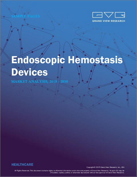 表紙：内視鏡用止血デバイスの市場規模、シェア、動向分析レポート：製品別、最終用途別、地域別、セグメント予測、2025年～2030年