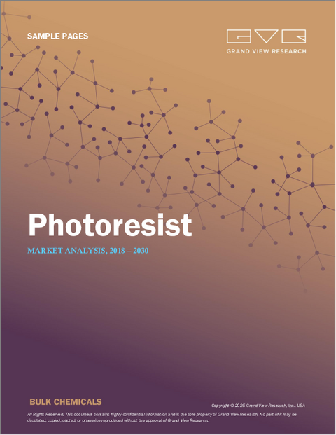 表紙:フォトレジストの市場規模、シェア、動向分析レポート:補助タイプ別、製品タイプ別、用途別、地域別、セグメント予測、2025年~2030年