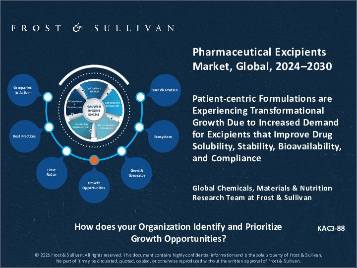 表紙:医薬品賦形剤の世界市場、2024年~2030年