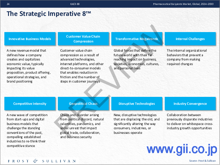 サンプル1:医薬品賦形剤の世界市場、2024年~2030年