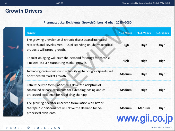 サンプル2:医薬品賦形剤の世界市場、2024年~2030年
