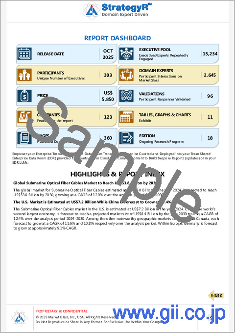 サンプル2：海底光ファイバーケーブルの世界市場