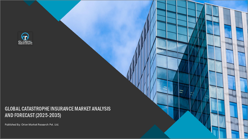 表紙：世界の災害保険市場 2025～2035年