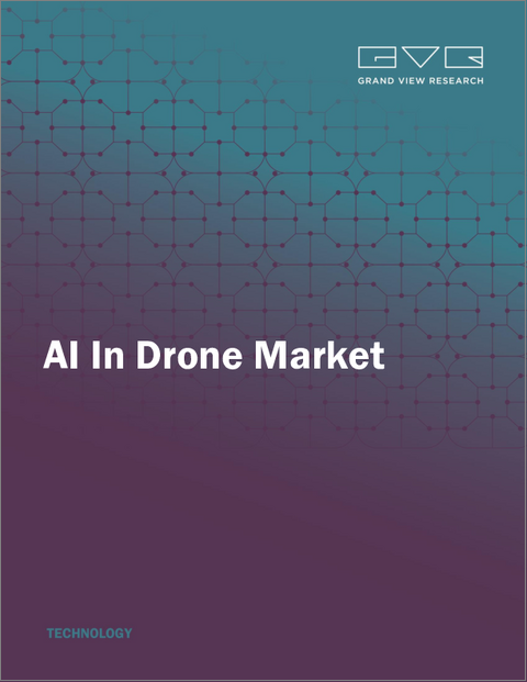 表紙：ドローン向けAIの世界市場：市場規模・シェア・動向分析 (種類別・コンポーネント別・最終用途別・地域別)、セグメント別予測 (2025年～2033年)