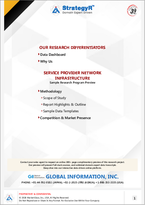 表紙：サービス・プロバイダーのネットワーク・インフラの世界市場