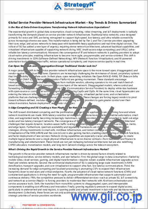 サンプル1：サービス・プロバイダーのネットワーク・インフラの世界市場