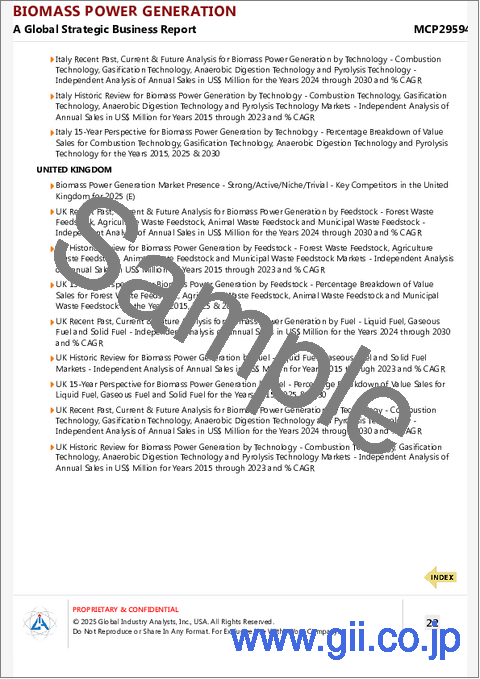 サンプル2：バイオマス発電の世界市場