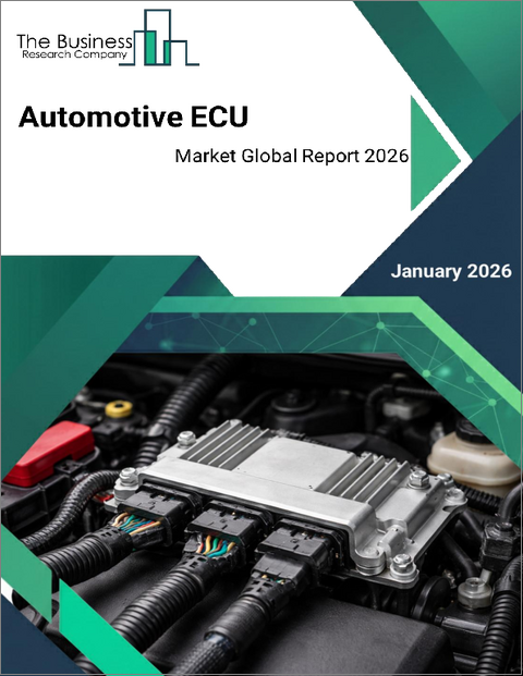 表紙：自動車用ECUの世界市場レポート2025年