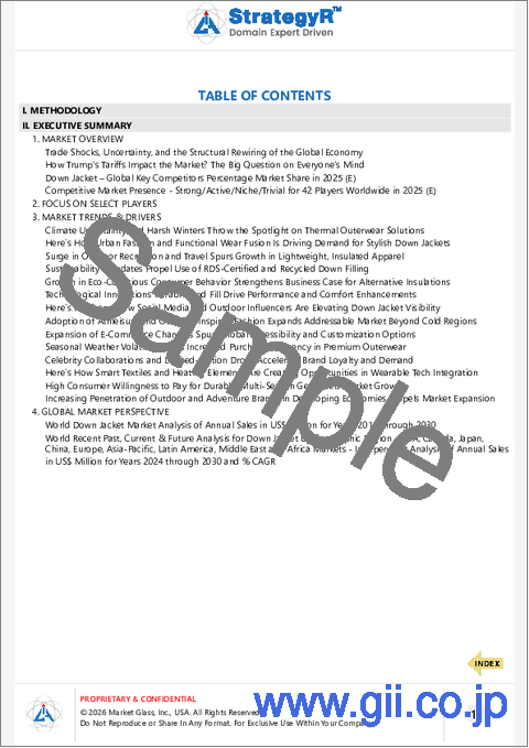 サンプル1：ダウンジャケットの世界市場