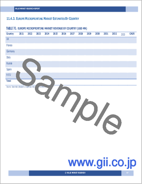 サンプル2：マイクロプリンティングの世界市場調査レポート：産業分析、規模、シェア、成長、動向、2025年から2033年までの予測