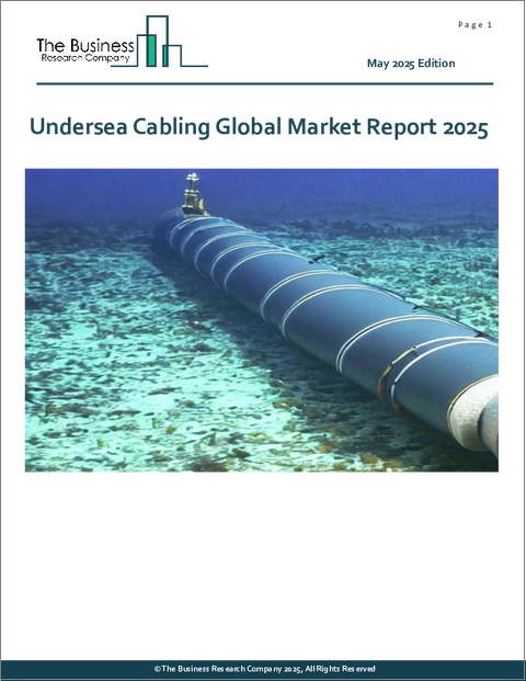 表紙：海底ケーブルの世界市場レポート2025年