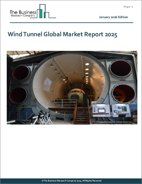 表紙：風洞の世界市場レポート2025年