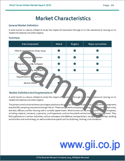 サンプル1：風洞の世界市場レポート2025年