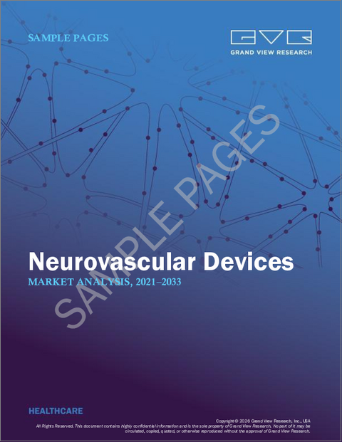 表紙：神経血管デバイス市場規模、シェア、動向分析レポート：デバイス別、治療用途別、サイズ別、最終用途別、地域別、セグメント別予測、2025年～2033年