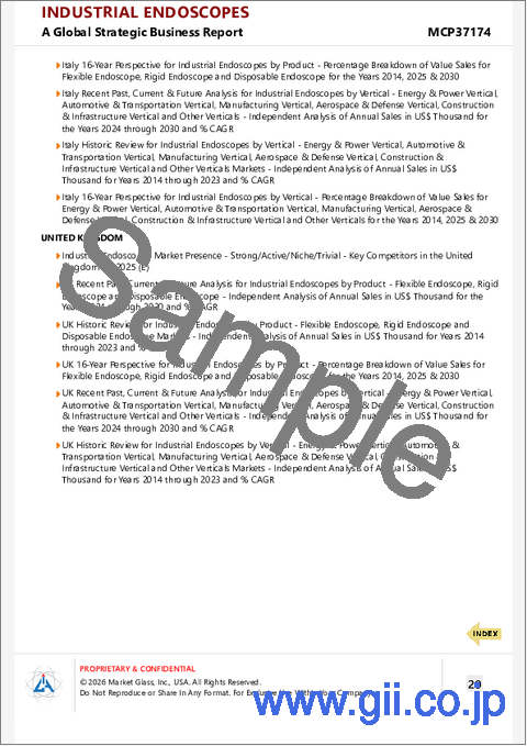 サンプル2：工業内視鏡の世界市場
