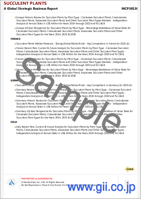サンプル2：多肉植物の世界市場