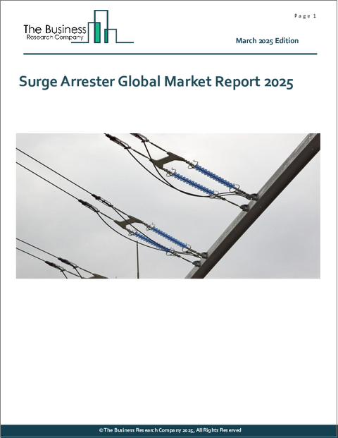 表紙：サージアレスタの世界市場レポート2025年