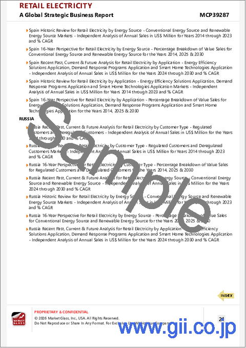 サンプル2:小売電力の世界市場