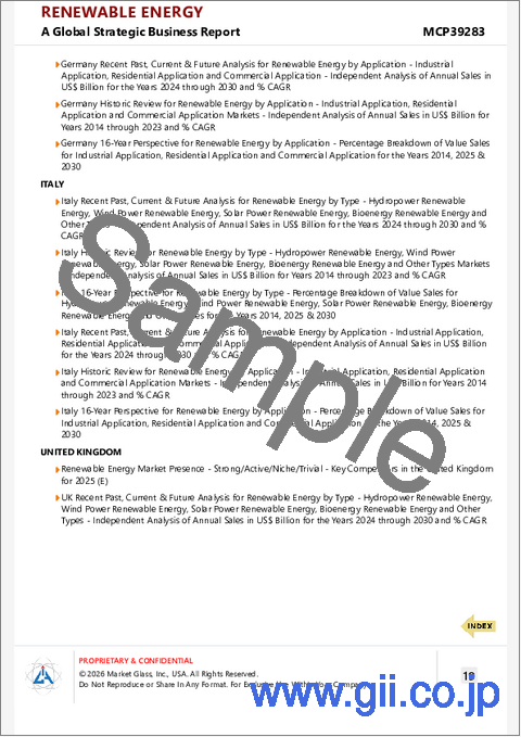 サンプル2：再生可能エネルギーの世界市場