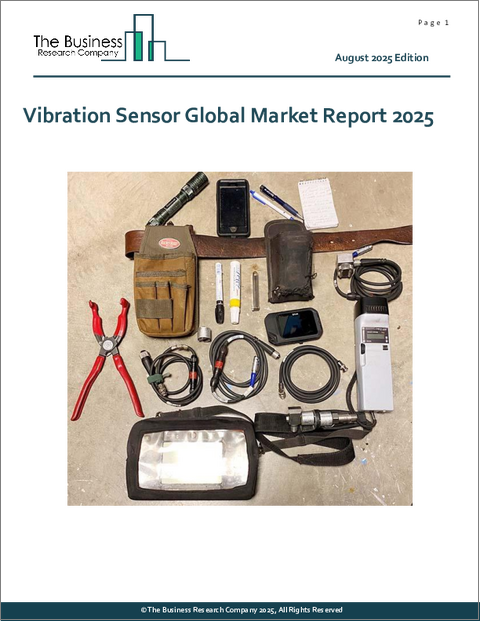 表紙：振動センサーの世界市場レポート2025