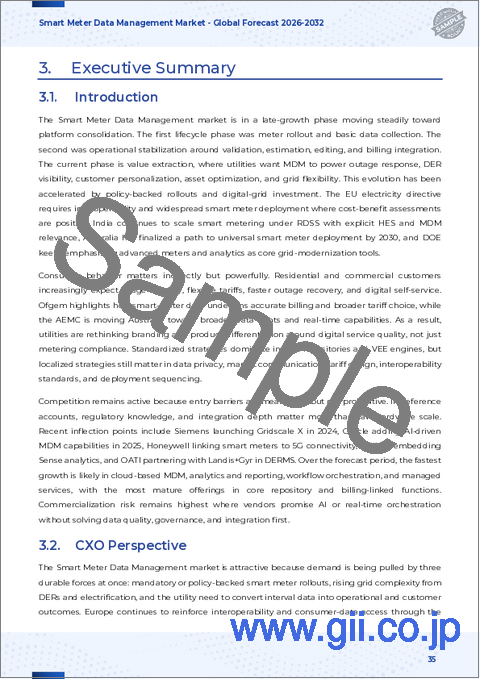 サンプル2:スマートメーターデータ管理市場:提供サービス、機能、展開モデル、用途、ユーザータイプ、公共事業別-2025-2030年世界予測