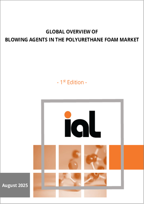 表紙:ポリウレタンフォーム用発泡剤の世界市場:市場の概要(2025年)
