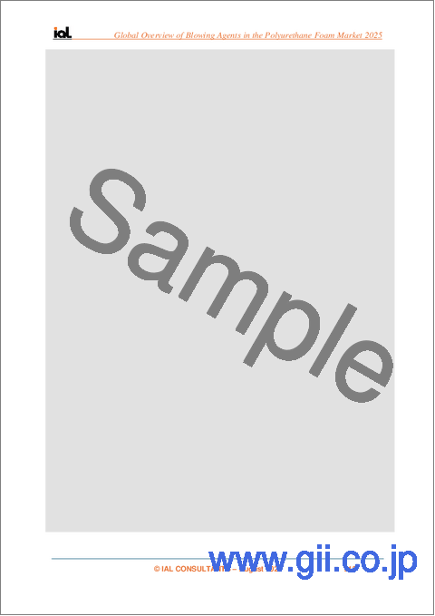 サンプル1:ポリウレタンフォーム用発泡剤の世界市場:市場の概要(2025年)