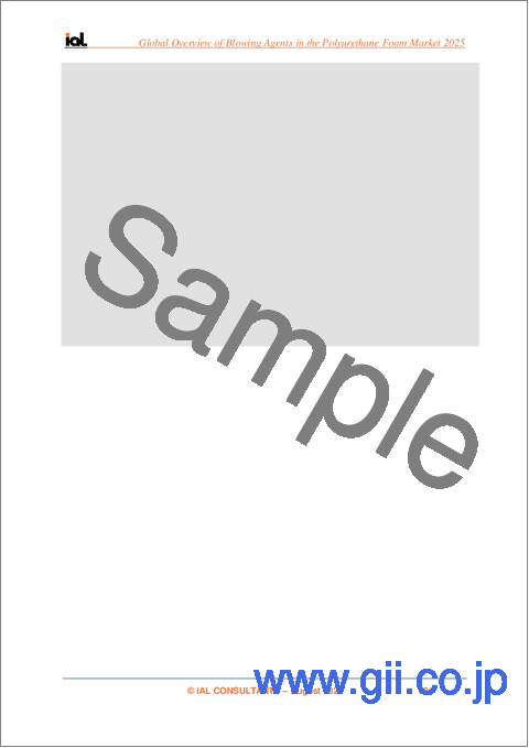 サンプル2:ポリウレタンフォーム用発泡剤の世界市場:市場の概要(2025年)