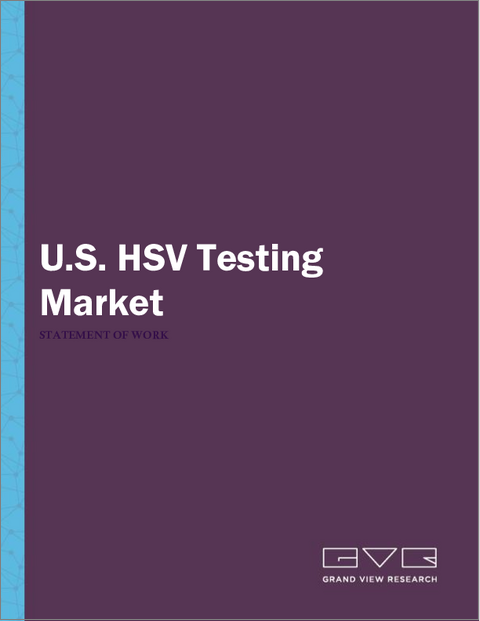 表紙:米国のHSV検査市場規模、シェア、動向分析:タイプ別、検査タイプ別、サンプルタイプ別、最終用途別、地域別、セグメント別予測、2025年~2033年