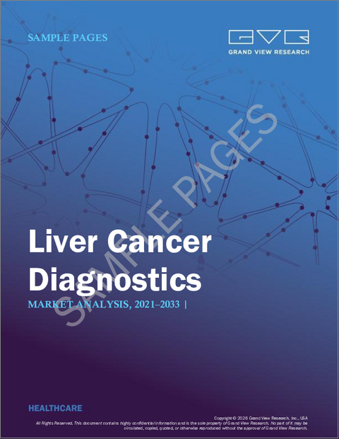 表紙：肝臓がん診断薬の市場規模、シェア、動向分析レポート：検査タイプ別、最終用途別、地域別、セグメント予測、2025年～2033年