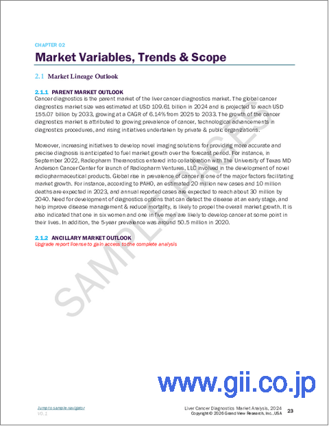 サンプル1：肝臓がん診断薬の市場規模、シェア、動向分析レポート：検査タイプ別、最終用途別、地域別、セグメント予測、2025年～2033年