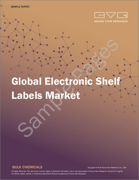 表紙:電子棚札の世界市場:市場規模・シェア・動向分析 (コンポーネント別・種類別・通信技術別・サイズ別・用途別・地域別)、セグメント別予測 (2025年~2033年)
