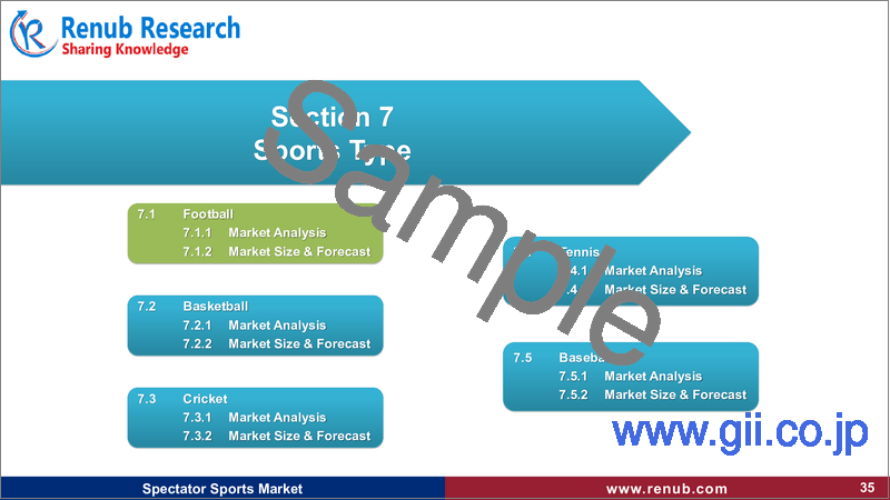 サンプル2：観戦スポーツの世界市場：スポーツタイプ別、収益源別、国別、企業分析（2025年～2033年）