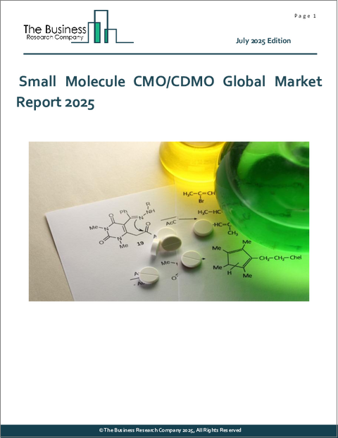 表紙:低分子CMO/CDMOの世界市場レポート2025年