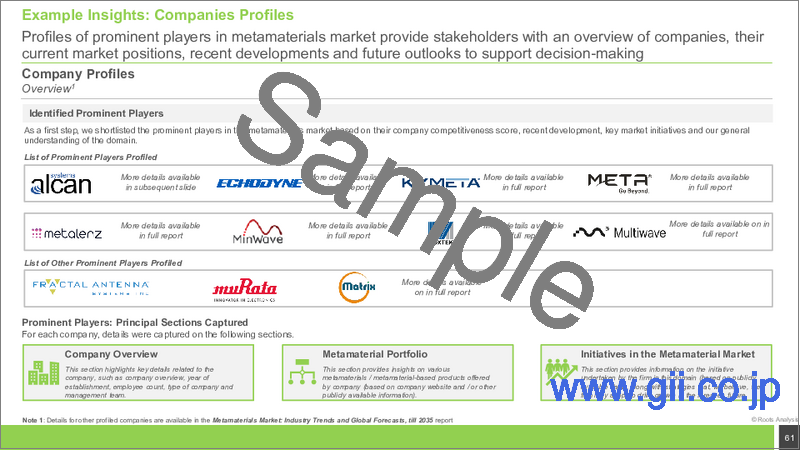 サンプル2：メタマテリアルの世界市場 (～2035年)：メタマテリアルタイプ・製品形態・用途・企業タイプ・エンドユーザー産業・地域別