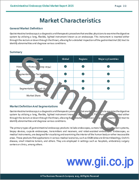 サンプル1：消化器内視鏡の世界市場レポート2025年