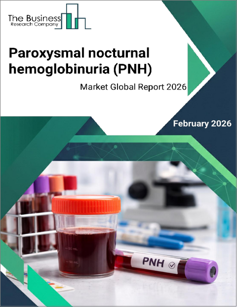 表紙：発作性夜間ヘモグロビン尿症（PNH）の世界市場レポート2025年