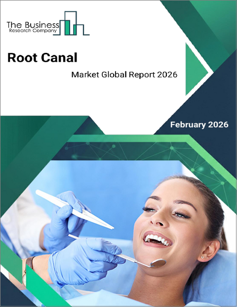 表紙：根管治療の世界市場レポート2025年