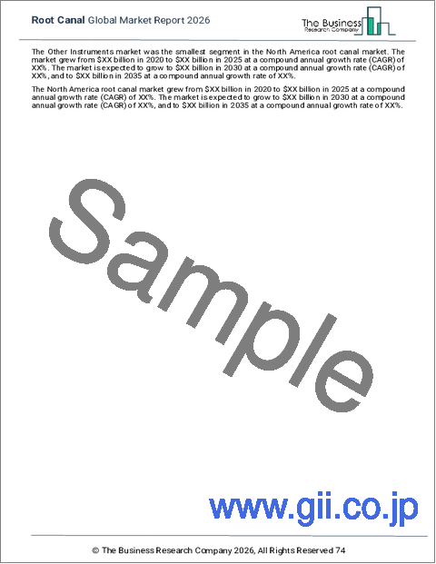 サンプル2：根管治療の世界市場レポート2025年