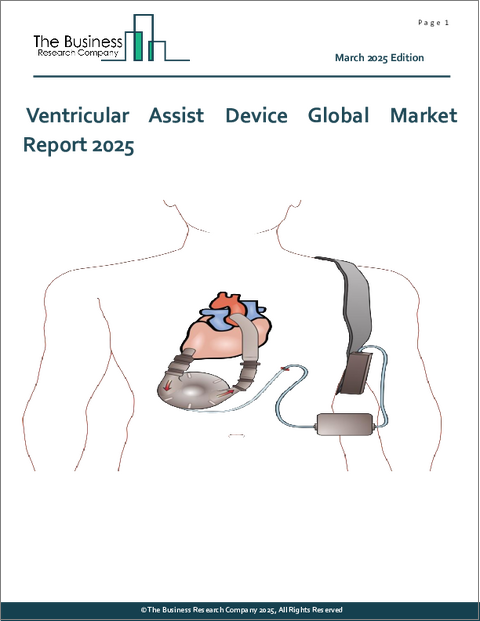 表紙：補助人工心臓の世界市場レポート2025年