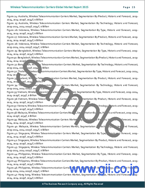 サンプル1：無線通信キャリアの世界市場レポート2025年